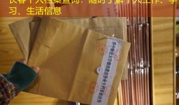 长春个人档案查询：随时了解个人工作、学习、生活信息