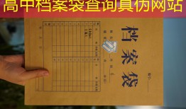 高中档案袋查询真伪网站