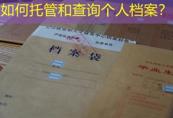 如何托管和查询个人档案？