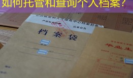 如何托管和查询个人档案？