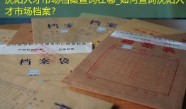 沈阳人才市场档案查询在哪_如何查询沈阳人才市场档案？