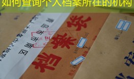 如何查询个人档案所在的机构