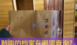 黔南的档案在哪里查询？