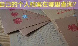 自己的个人档案在哪里查询？