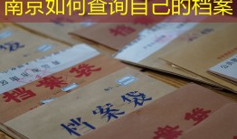 南京如何查询自己的档案