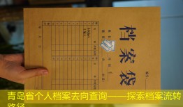 青岛省个人档案去向查询——探索档案流转路径