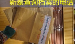 新泰查询档案的电话