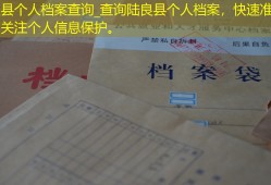 陆良县个人档案查询_查询陆良县个人档案，快速准确，关注个人信息保护。
