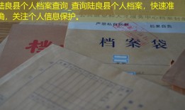 陆良县个人档案查询_查询陆良县个人档案，快速准确，关注个人信息保护。
