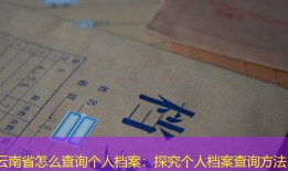 云南省怎么查询个人档案：探究个人档案查询方法
