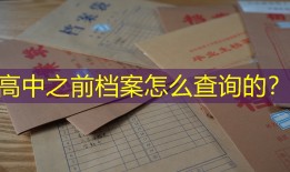 高中之前档案怎么查询的？