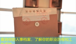 查询你的人事档案，了解你的职业历程和工作成就