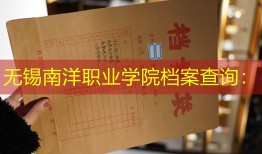 无锡南洋职业学院档案查询：