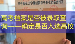 高考档案是否被录取查询——确定是否入选高校