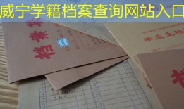 威宁学籍档案查询网站入口