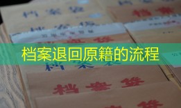 档案退回原籍的流程