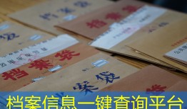 档案信息一键查询平台
