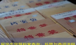留学生学籍档案查询：托管与查阅流程