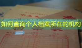 如何查询个人档案所在的机构
