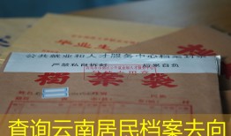 查询云南居民档案去向
