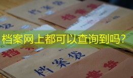 档案网上都可以查询到吗？