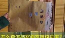 怎么查询档案面签审核进度？