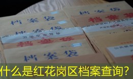 什么是红花岗区档案查询？