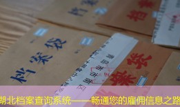 湖北档案查询系统——畅通您的雇佣信息之路
