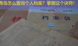 青岛怎么查询个人档案？掌握这个诀窍！