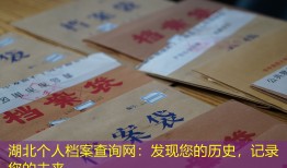 湖北个人档案查询网：发现您的历史，记录您的未来。