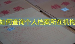 如何查询个人档案所在机构