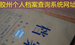 胶州个人档案查询系统网址