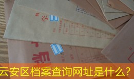 云安区档案查询网址是什么？