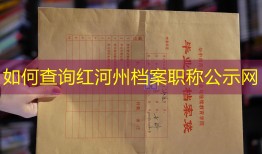 如何查询红河州档案职称公示网