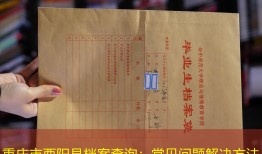 重庆市酉阳县档案查询：常见问题解决方法