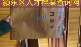 颍东区人才档案查询网