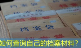 如何查询自己的档案材料？