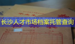 长沙人才市场档案托管查询