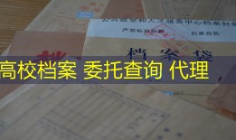 高校档案 委托查询 代理