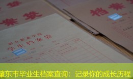 肇东市毕业生档案查询：记录你的成长历程