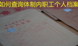 如何查询体制内职工个人档案