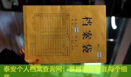 泰安个人档案查询网：掌握职业生涯每个细节