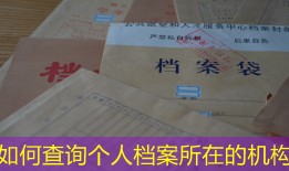 如何查询个人档案所在的机构