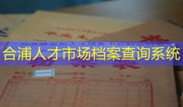 合浦人才市场档案查询系统