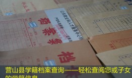 营山县学籍档案查询——轻松查阅您或子女的学籍信息