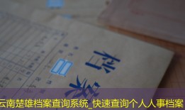 云南楚雄档案查询系统_快速查询个人人事档案