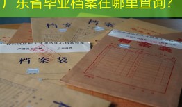广东省毕业档案在哪里查询？
