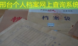 邢台个人档案网上查询系统