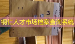 铜仁人才市场档案查询系统