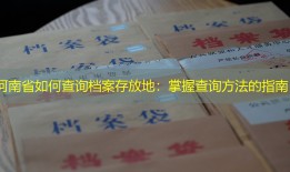河南省如何查询档案存放地：掌握查询方法的指南